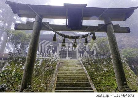 玉置神社鳥居と本殿 玉置神社鳥居と本殿 113464672