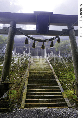 玉置神社鳥居と本殿(縦) 玉置神社鳥居と本殿(縦) 113464673