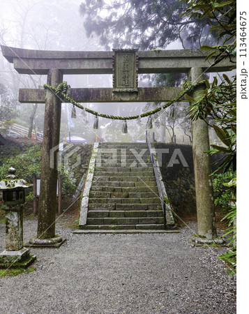多摩神社石鳥居(縦) 多摩神社石鳥居(縦) 113464675