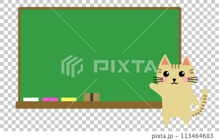 Cat and blackboard illustration 113464683
