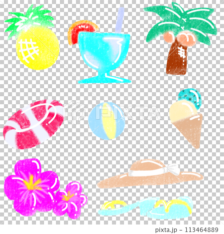 夏のかわいいトロピカルイラストセット 113464889