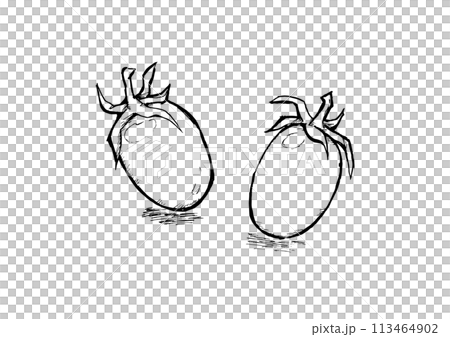 Cherry Tomato Aiko Line Drawing Hand-drawn Sumi-e 113464902