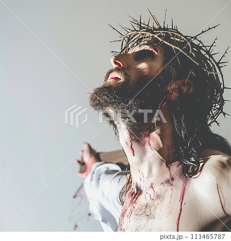 イエス・キリストのイメージ image of Jesus Christus No1-14 113465787