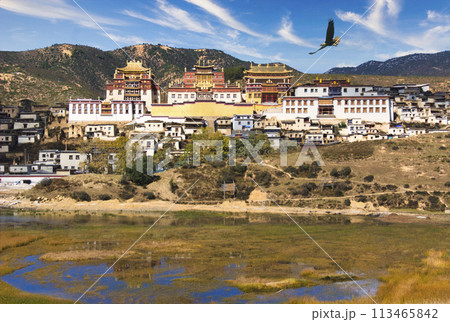 シャングリラの松賛林寺の美しい景観 シャングリラの松賛林寺の美しい景観 113465842