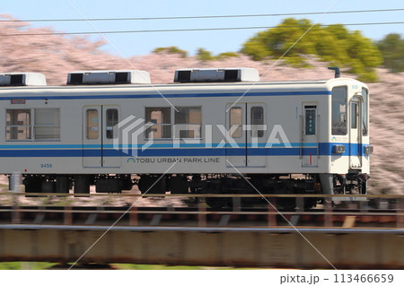 ［TD］春の東武野田線8000系（流し撮り） 113466659