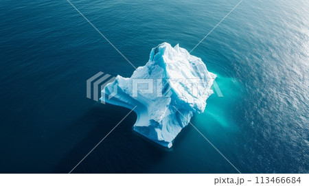 Majestic Iceberg Floating in Ocean 113466684