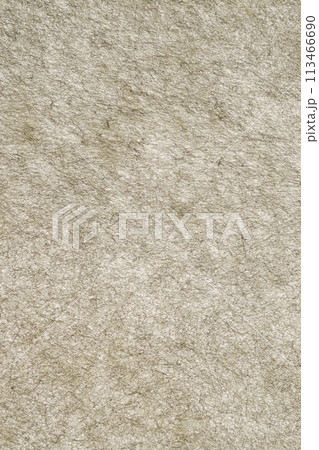 異種和紙によるザラザラ背景素材（グレー） 113466690