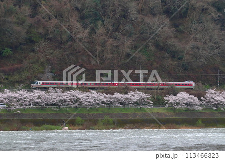 春の高梁川と伯備線特急やくも号：381系パノラマ編成（岡山⇔出雲市） 113466823