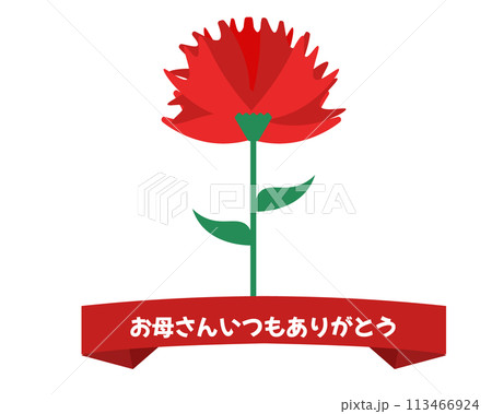 カーネーションと母の日のタイトル。ベクターイラスト カーネーションと母の日のタイトル。ベクターイラスト 113466924