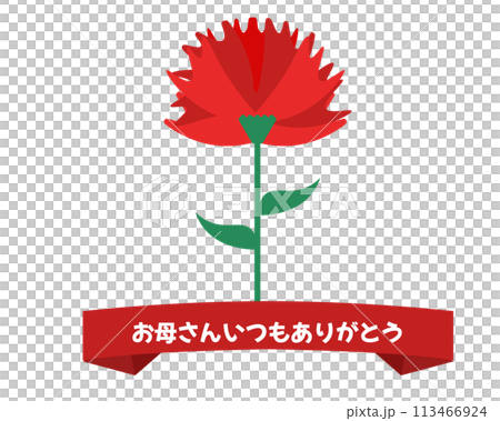 カーネーションと母の日のタイトル。ベクターイラスト カーネーションと母の日のタイトル。ベクターイラスト 113466924