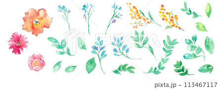 水彩画。水彩タッチの花と草木のベクターイラスト。植物のフレーム。 113467117