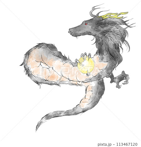 カッコいい手描きの龍のイラスト カッコいい手描きの龍のイラスト 113467120