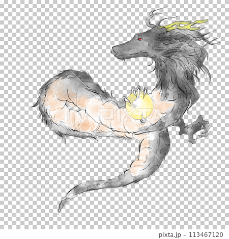 カッコいい手描きの龍のイラスト カッコいい手描きの龍のイラスト 113467120