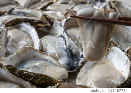 新鮮で美味しい生牡蠣 新鮮で美味しい生牡蠣 113467724
