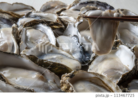 新鮮で美味しい生牡蠣 新鮮で美味しい生牡蠣 113467725