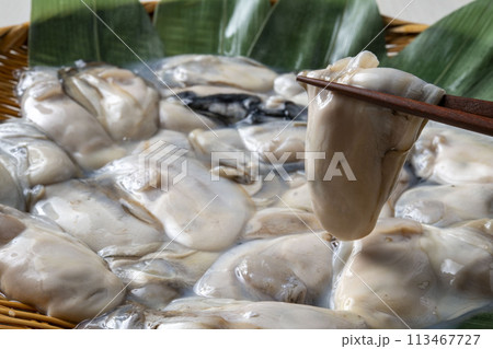 新鮮で美味しい生牡蠣 113467727