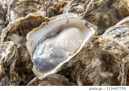 新鮮で美味しい生牡蠣 113467730