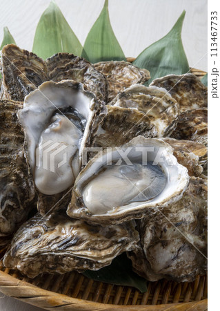 新鮮で美味しい生牡蠣 113467733