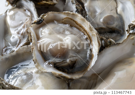 新鮮で美味しい生牡蠣 113467743