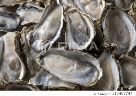 新鮮で美味しい生牡蠣 113467744