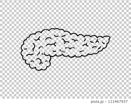 すい臓・線画 113467937