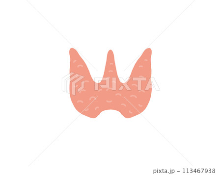 甲状腺 113467938