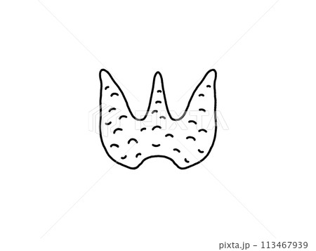 甲状腺・線画 113467939