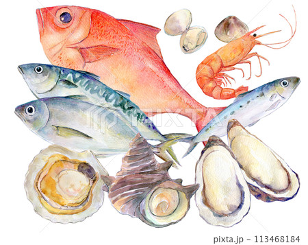 魚介類のセットイラスト　水彩イラスト 113468184