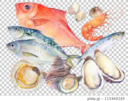 魚介類のセットイラスト　水彩イラスト 113468184