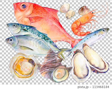 Seafood set illustration watercolor illustration 113468184