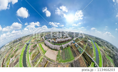 「埼玉県」360度カメラで撮影した春の見沼田んぼ　桜回廊 113468203