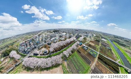 「埼玉県」360度カメラで撮影した春の見沼田んぼ　桜回廊 113468205