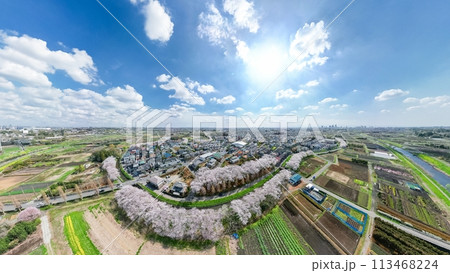 「埼玉県」ドローンで撮影した春の見沼田んぼ 桜回廊 「埼玉県」ドローンで撮影した春の見沼田んぼ 桜回廊 113468224