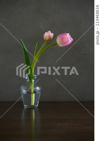 花瓶に生けたチューリップ 113468616