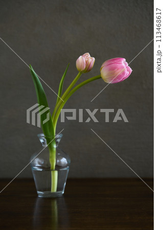 花瓶に生けたチューリップ 113468617