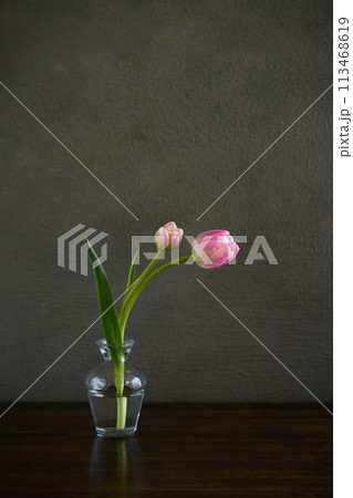 花瓶に生けたチューリップ 花瓶に生けたチューリップ 113468619