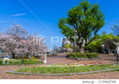 《福岡県》昼の中洲・清流公園 福岡市の歓楽街中洲の昼間 《福岡県》昼の中洲・清流公園 福岡市の歓楽街中洲の昼間 113468768