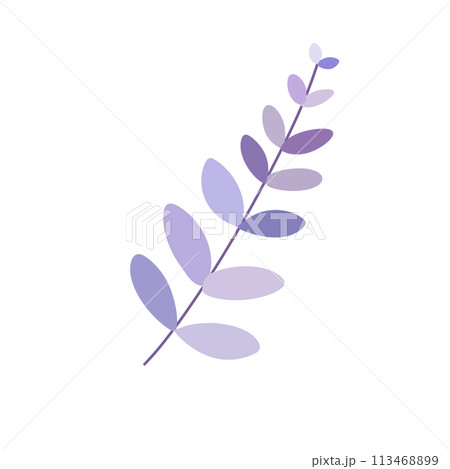 Purple leaf Purple leaf 113468899