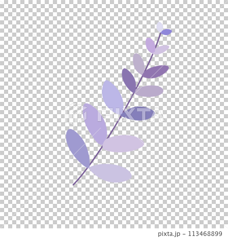 Purple leaf Purple leaf 113468899