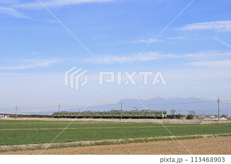 JR両毛線211系 矢絣柄の車両 113468903