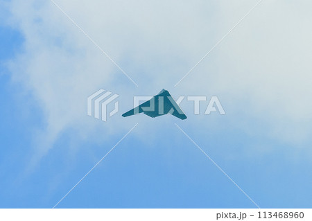 飛行するアメリカ空軍F-117ナイトホーク 113468960