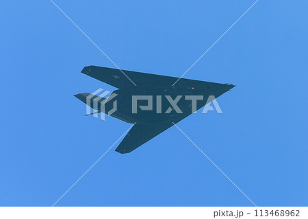 飛行するアメリカ空軍F-117ナイトホーク 113468962