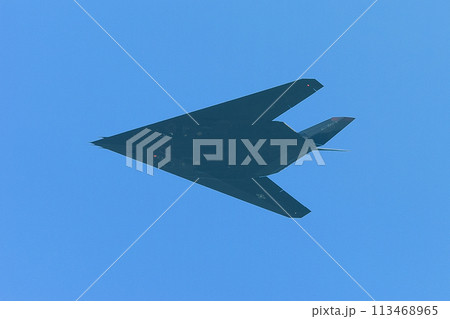 飛行するアメリカ空軍F-117ナイトホーク 113468965