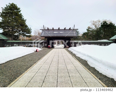 北海道　札幌護國神社の本殿からの帰り道 113469462