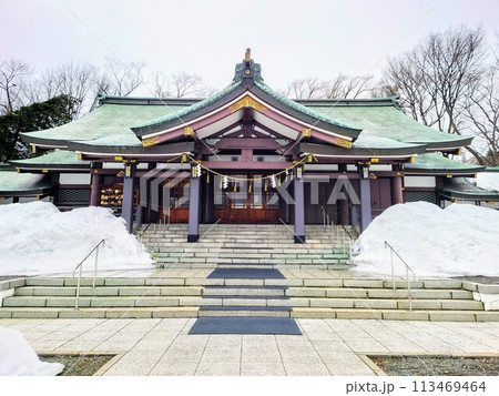 北海道　札幌護國神社の本殿 113469464