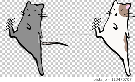 踢老鼠和倉鼠的插圖。 踢老鼠和倉鼠的插圖。 113470707
