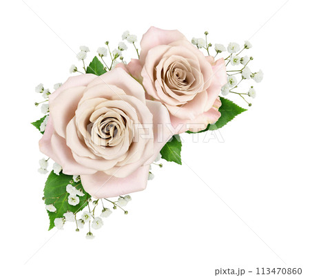 Cream roses and gypsophila flowers in a corner arrangement isolated Cream roses and gypsophila flowers in a corner arrangement isolated 113470860