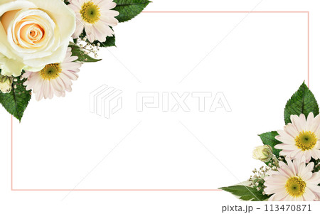 White rose and asters flowers in a floral corner arrangement with pink frame isolated on white 113470871