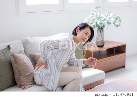 腰痛　腰が痛いミドル女性 113470911