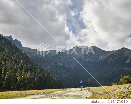 rear view of lone asian hiker walking on dirt road 113471010